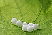 Granules