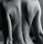 Rachis
